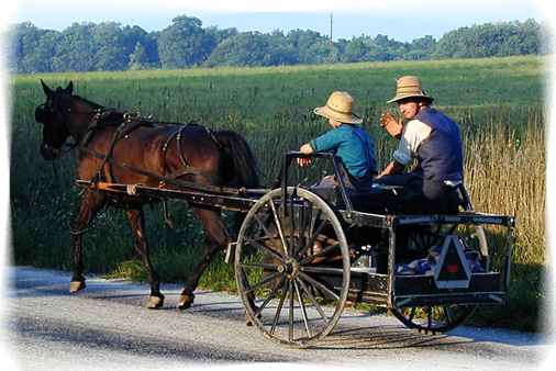 Amish 