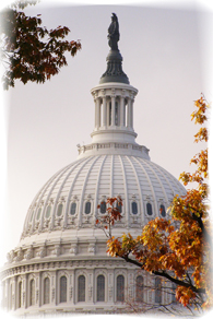 U. S. Capitol