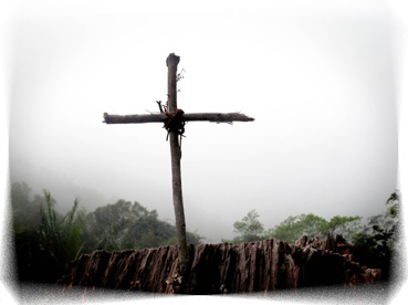 cross