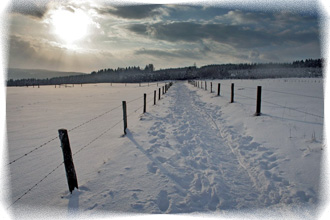 snow